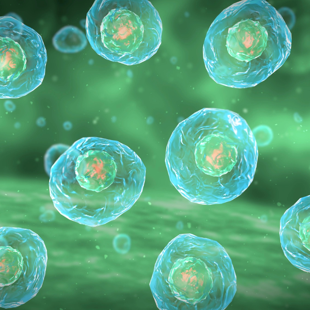 système immunitaire